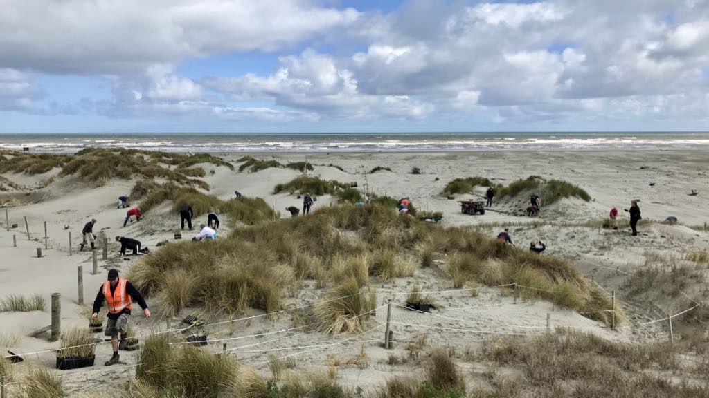 People are working on a sandy beach area with grassy dunes under a partly cloudy sky.