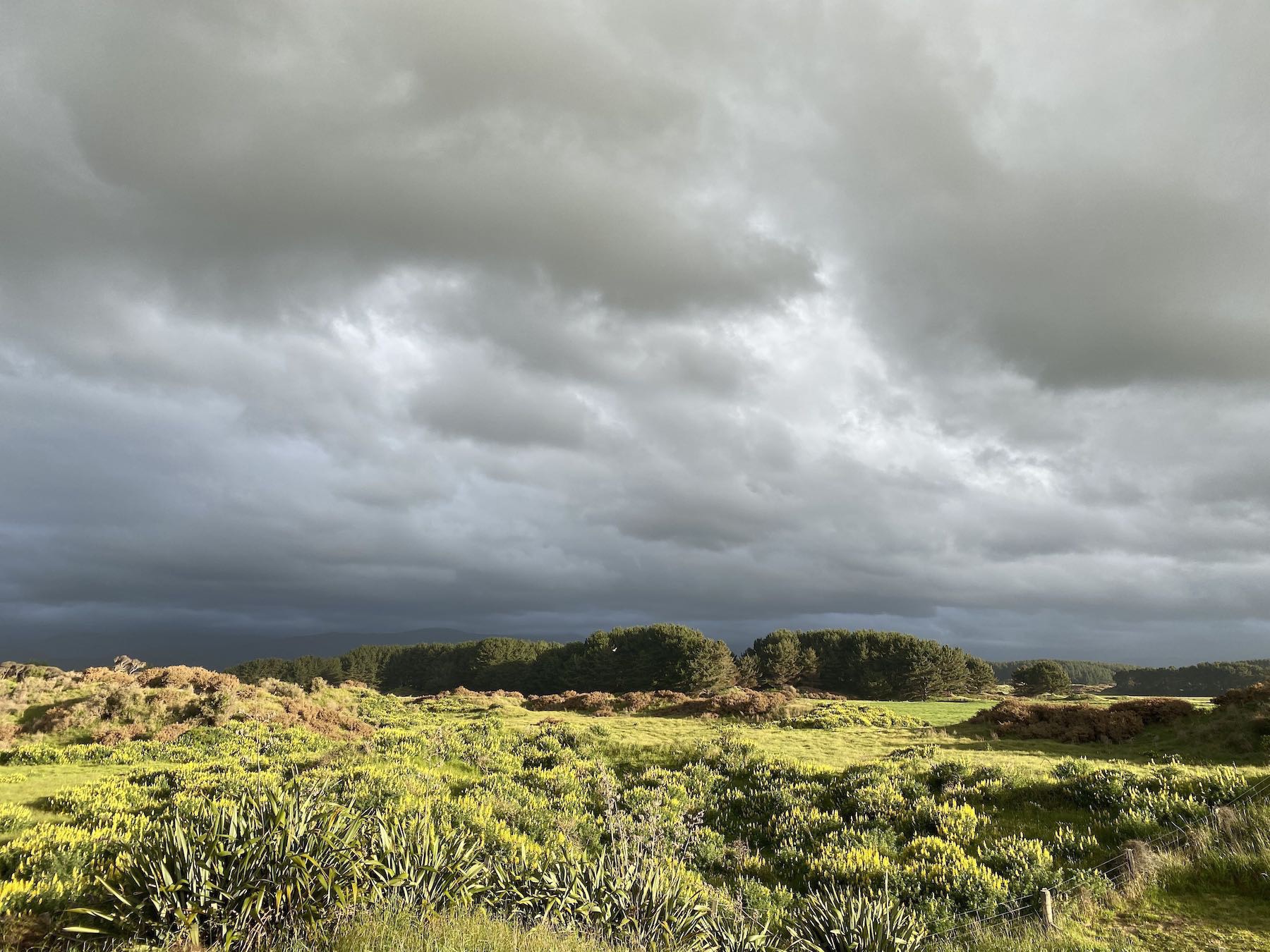 Vibrant greens and yellows against a dark sky. 