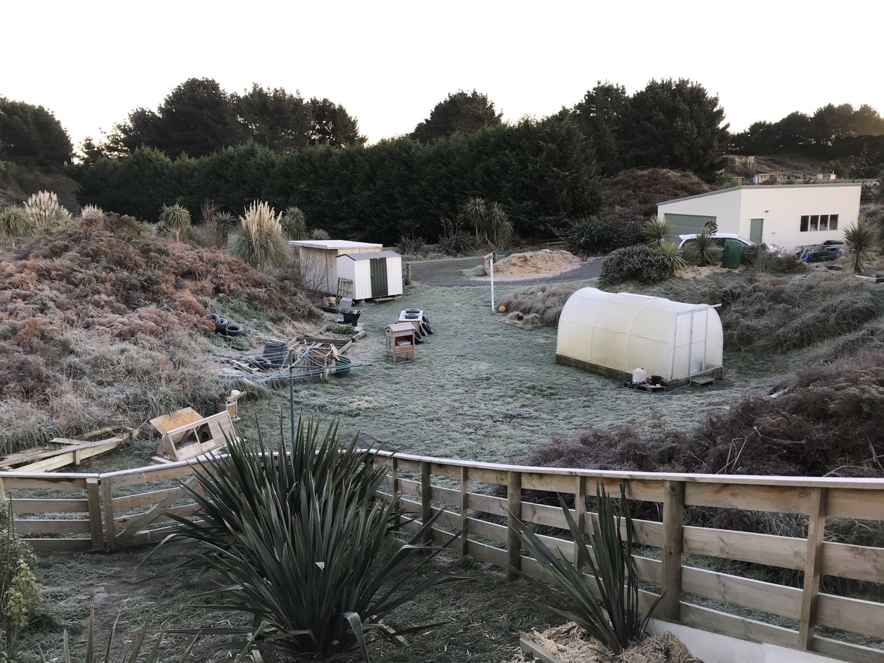 Frosty grass and yard. 