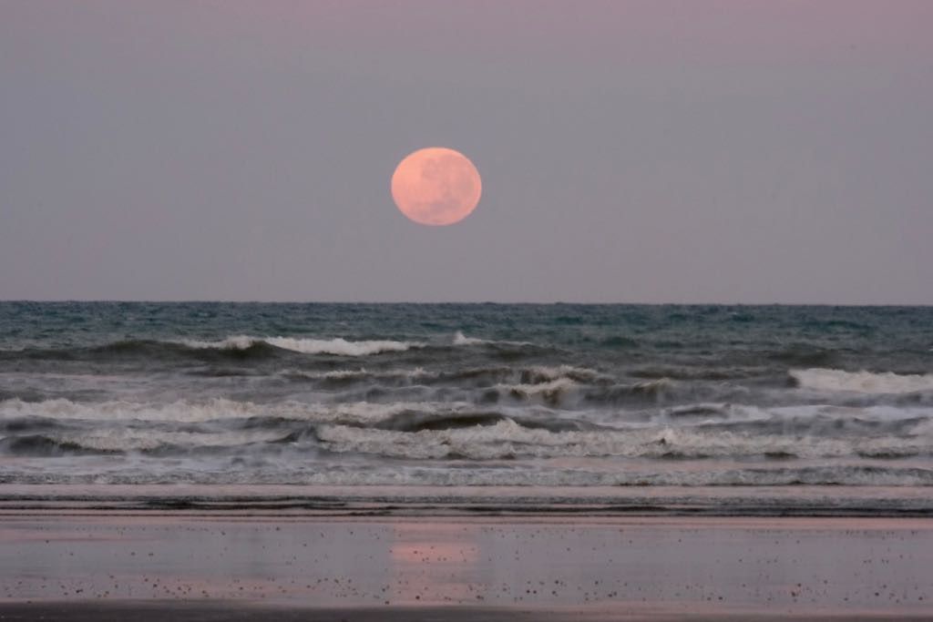 Large peach coloured full moon just above the horizon with waves and a reflection in the foreground.