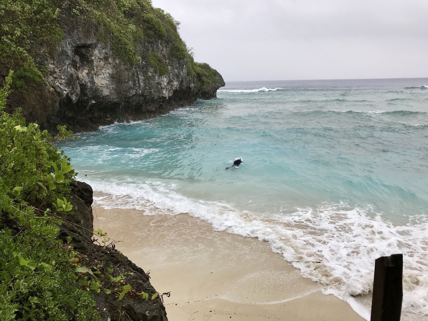 A man swimming in somewhat rough sea.
