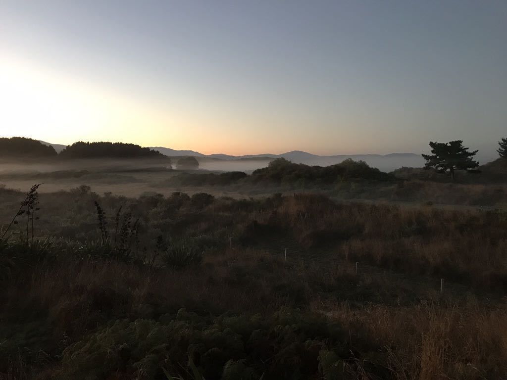 Dark paddocks with white mist above them, as sunrise lights the horizon. 