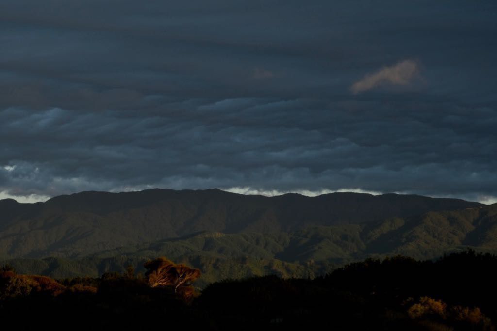 Dark, wave-like clouds at dusk. 