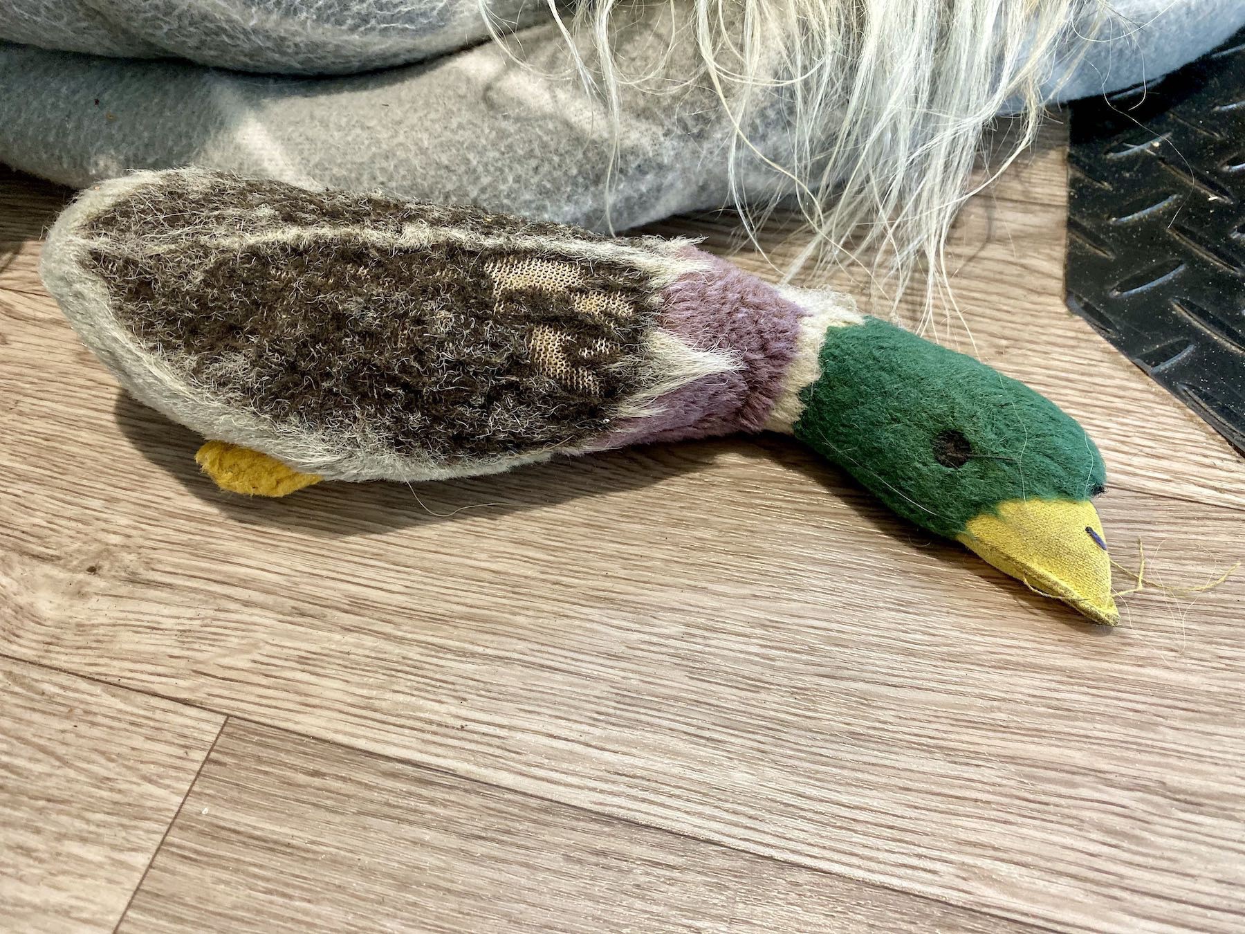 Toy duck showing signs of wear. 