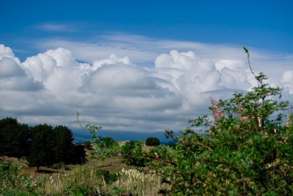 Fluffy clouds above vegetation and dunes. 