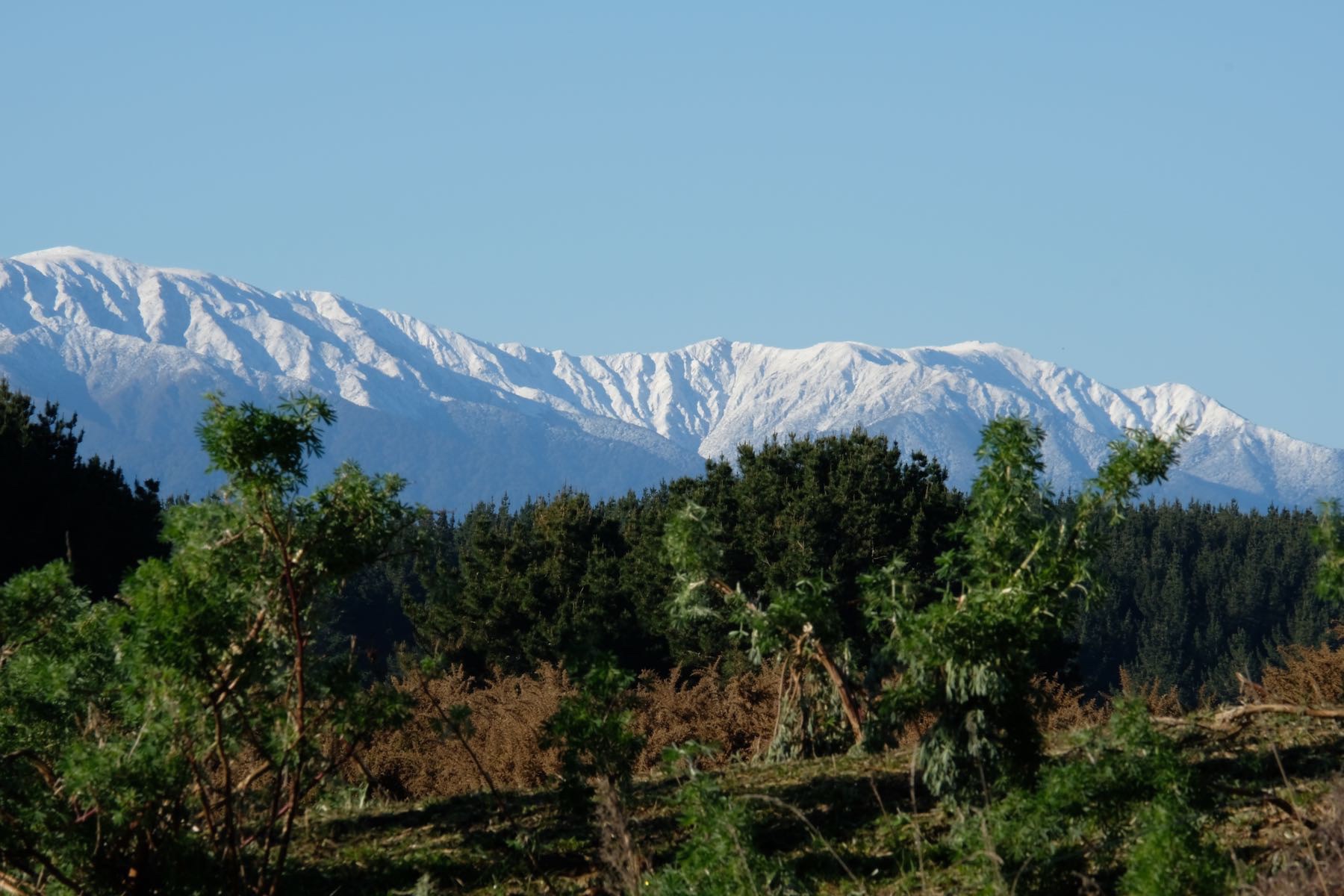 Snow on a mountain peak. 