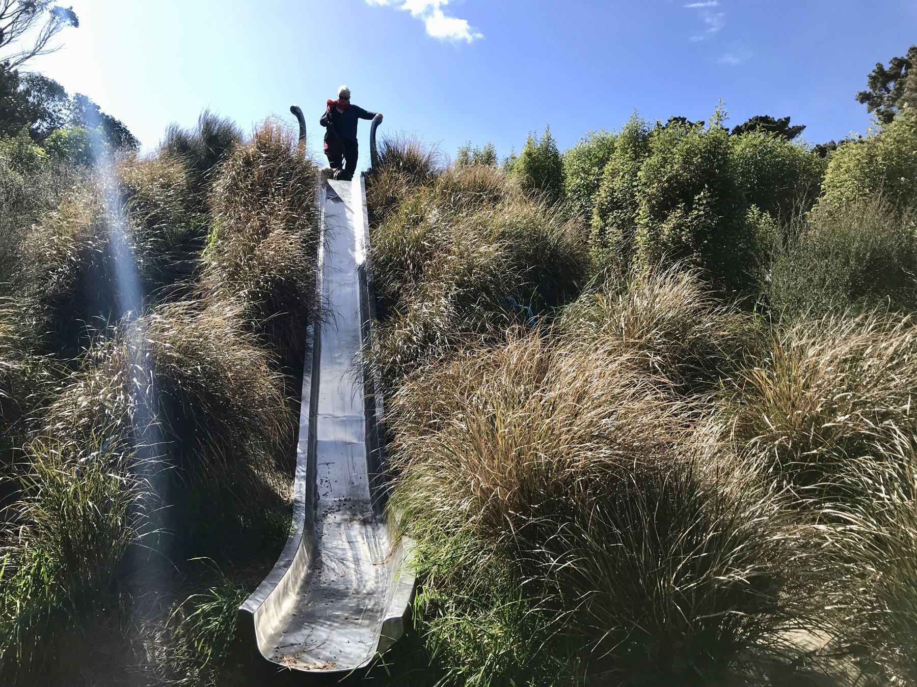 Slide down the hill through native grasses.