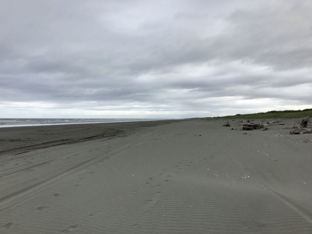 Looking north: empty beach as far as the eye can see. 