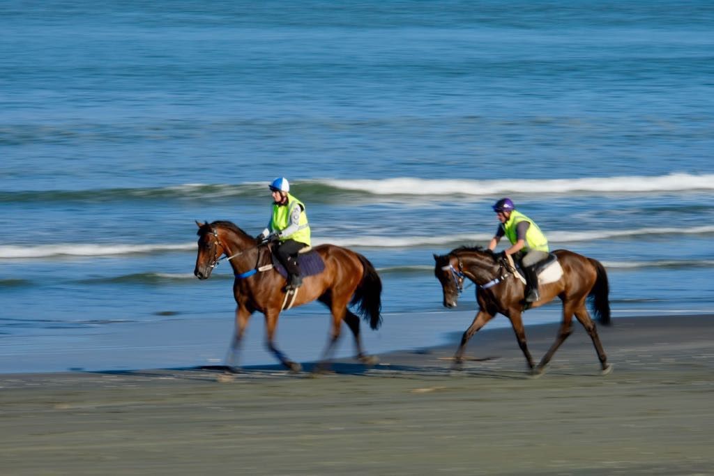 Two dark brown horses, with riders, on the beach. The horses legs are blurry.