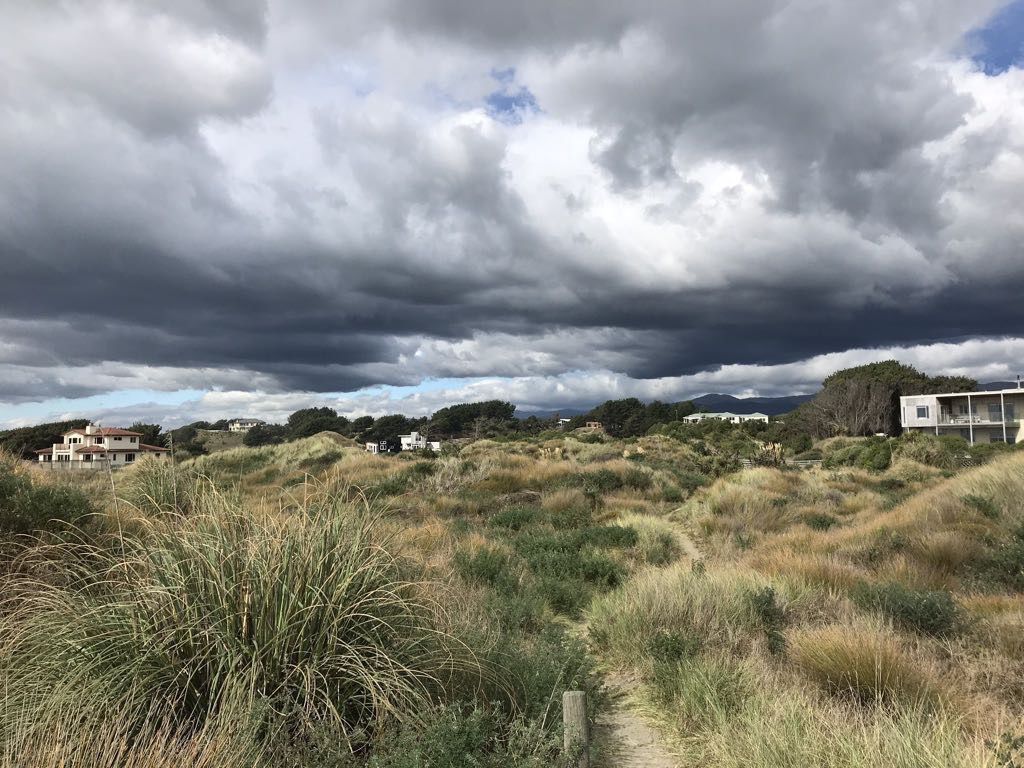 View East from the beach track: dunes, houses, dark clouds. 