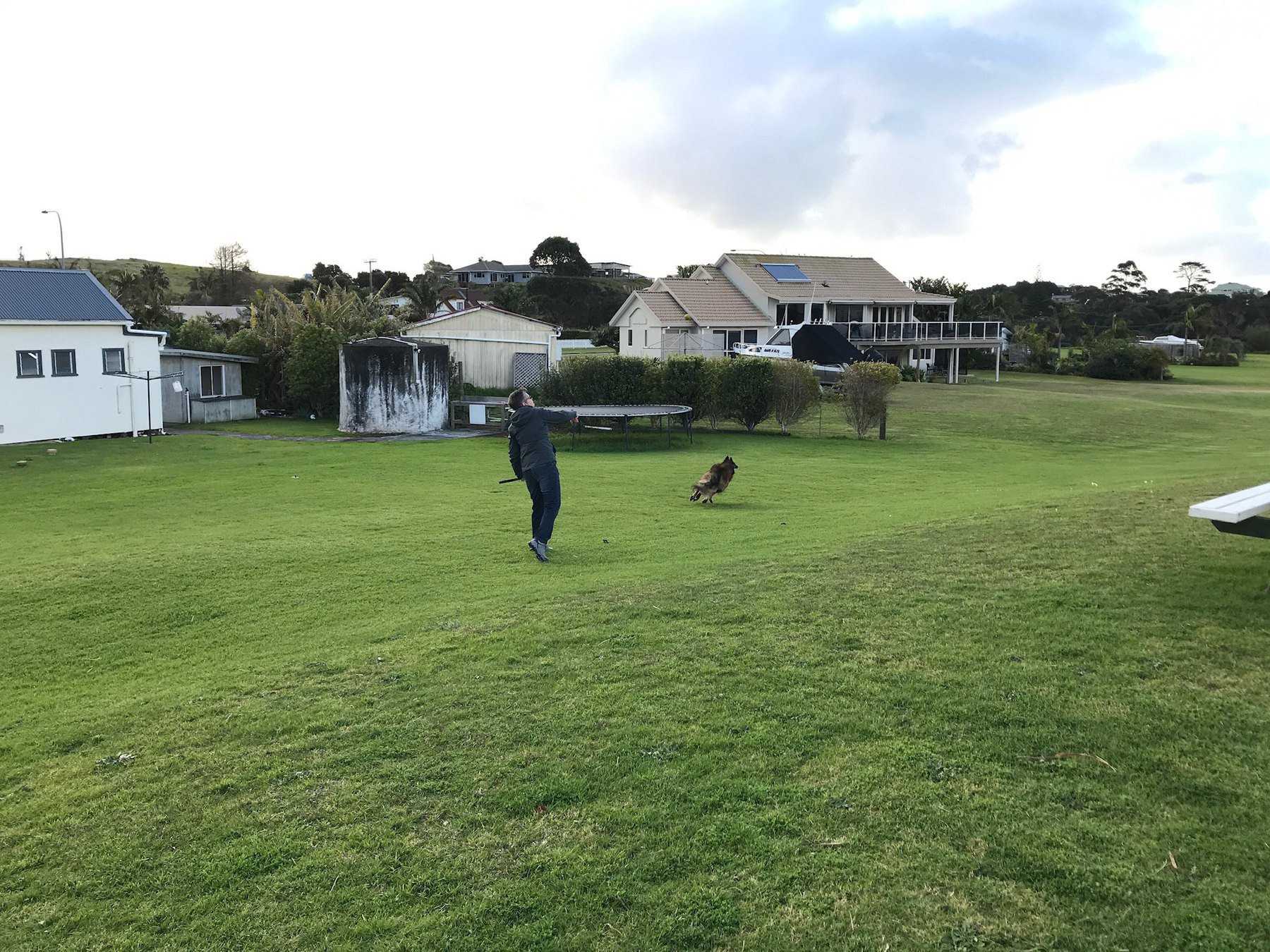 My friend throws the ball for her dog. 