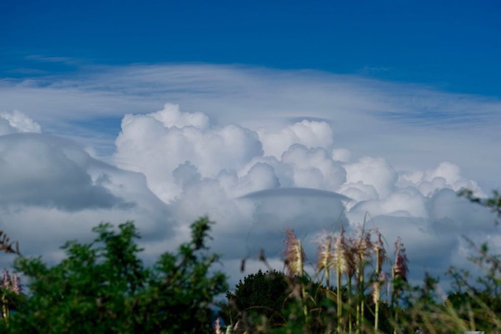 Textured clouds above vegetation and dunes.