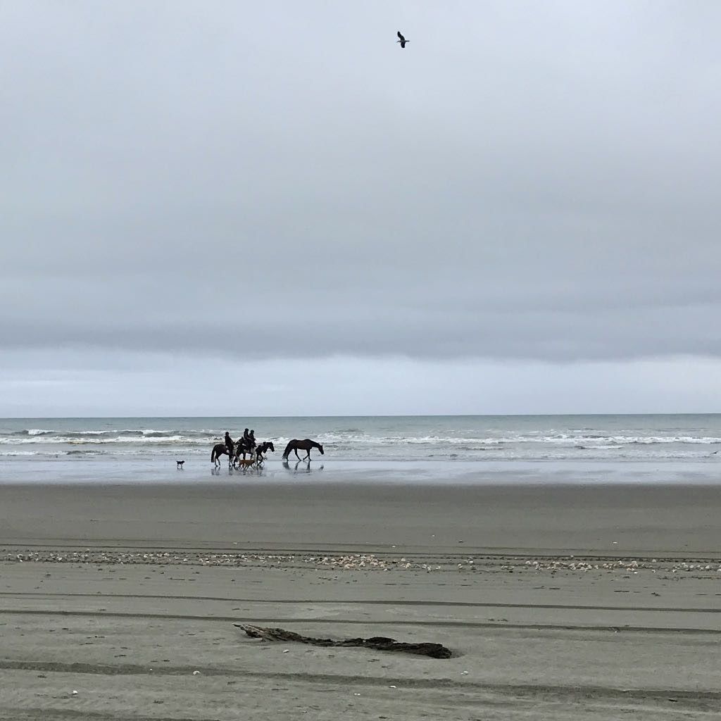 A group of 3 horse riders with one horse loose and 3 dogs.