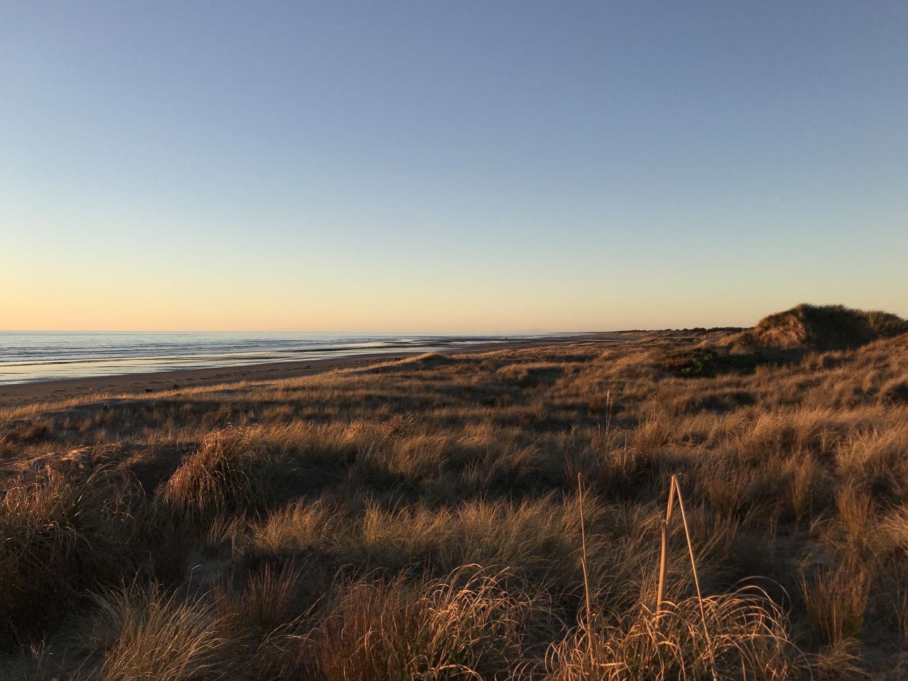 Looking north along the beach.