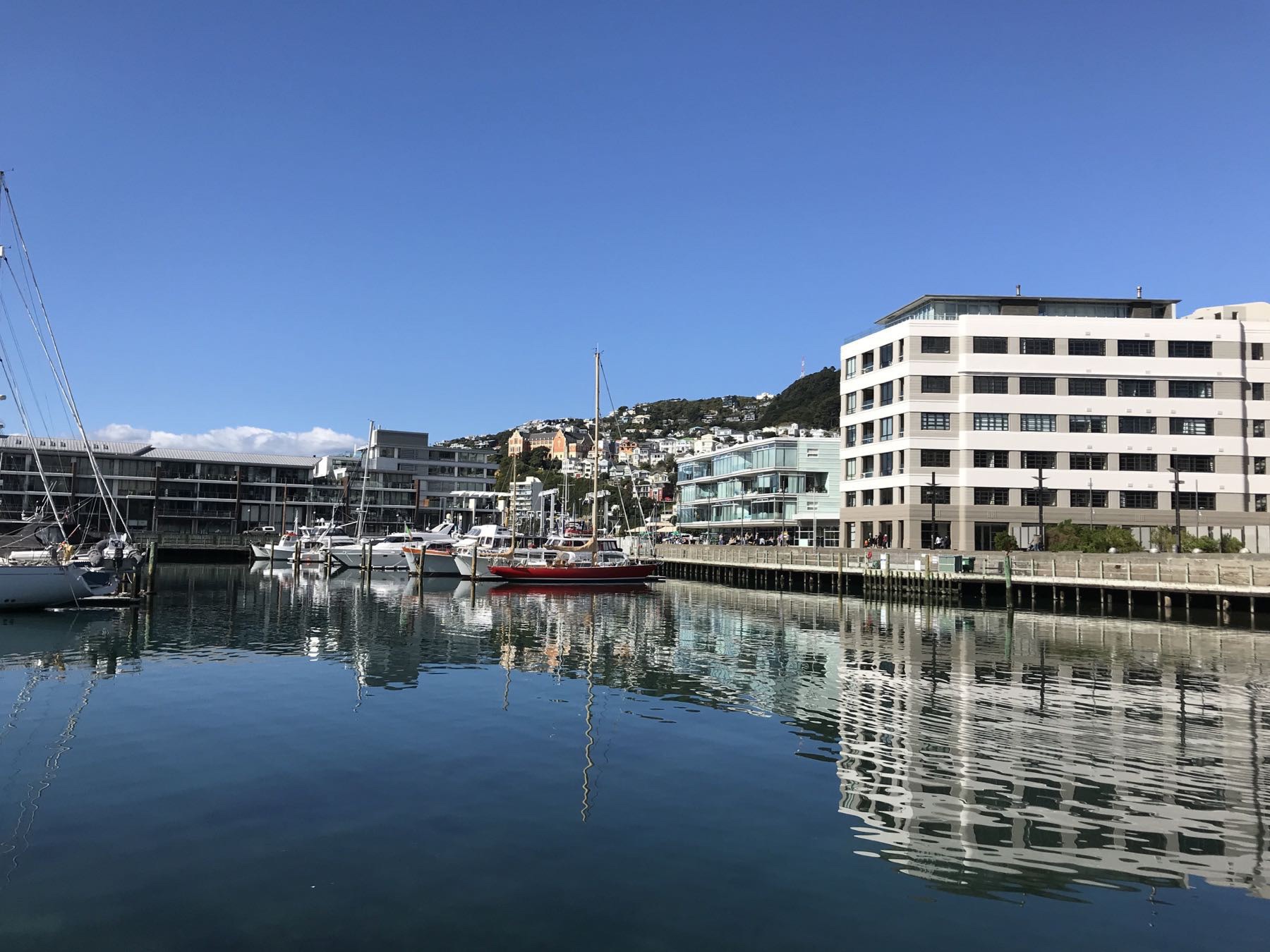 Marina with Mt Victoria in the background.