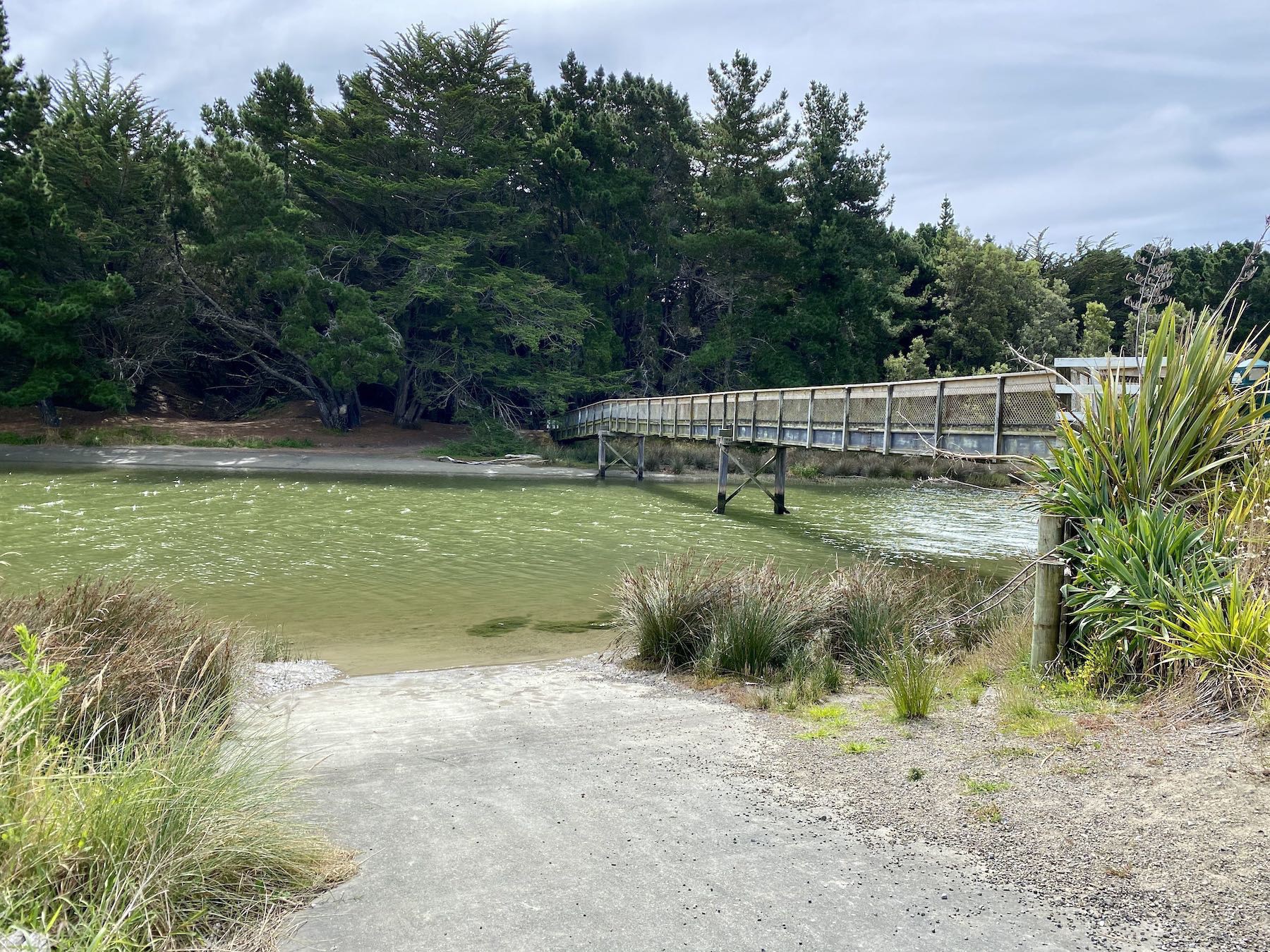 Boat ramp at the footbridge, and green water. 