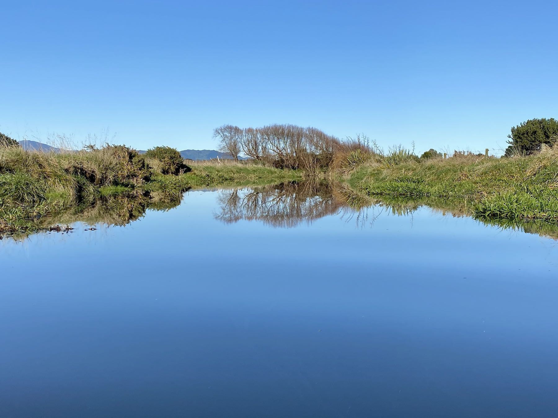 Still blue water, blue sky, reflected vegetation, including bare willow trees. 