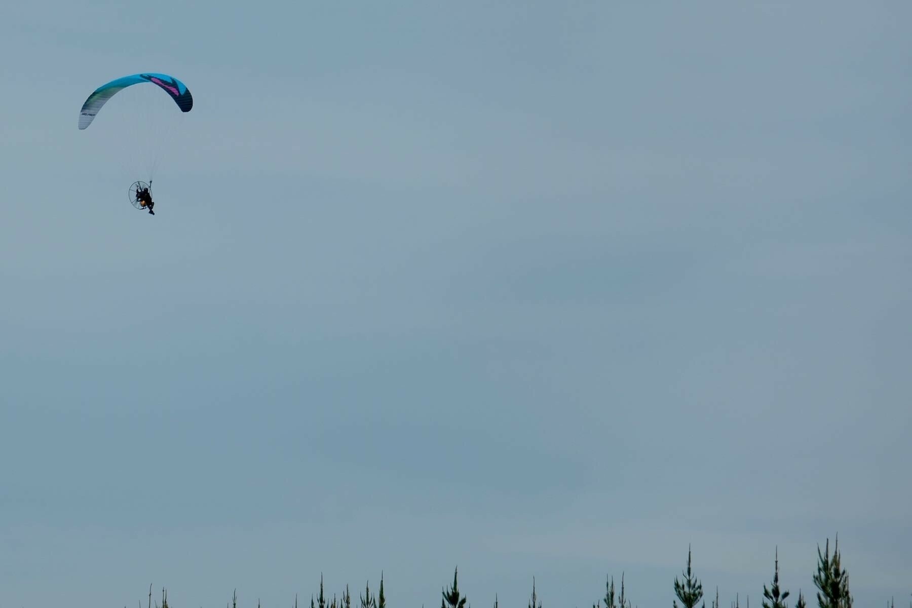 Microlight flyer below parachute near tree tops. 