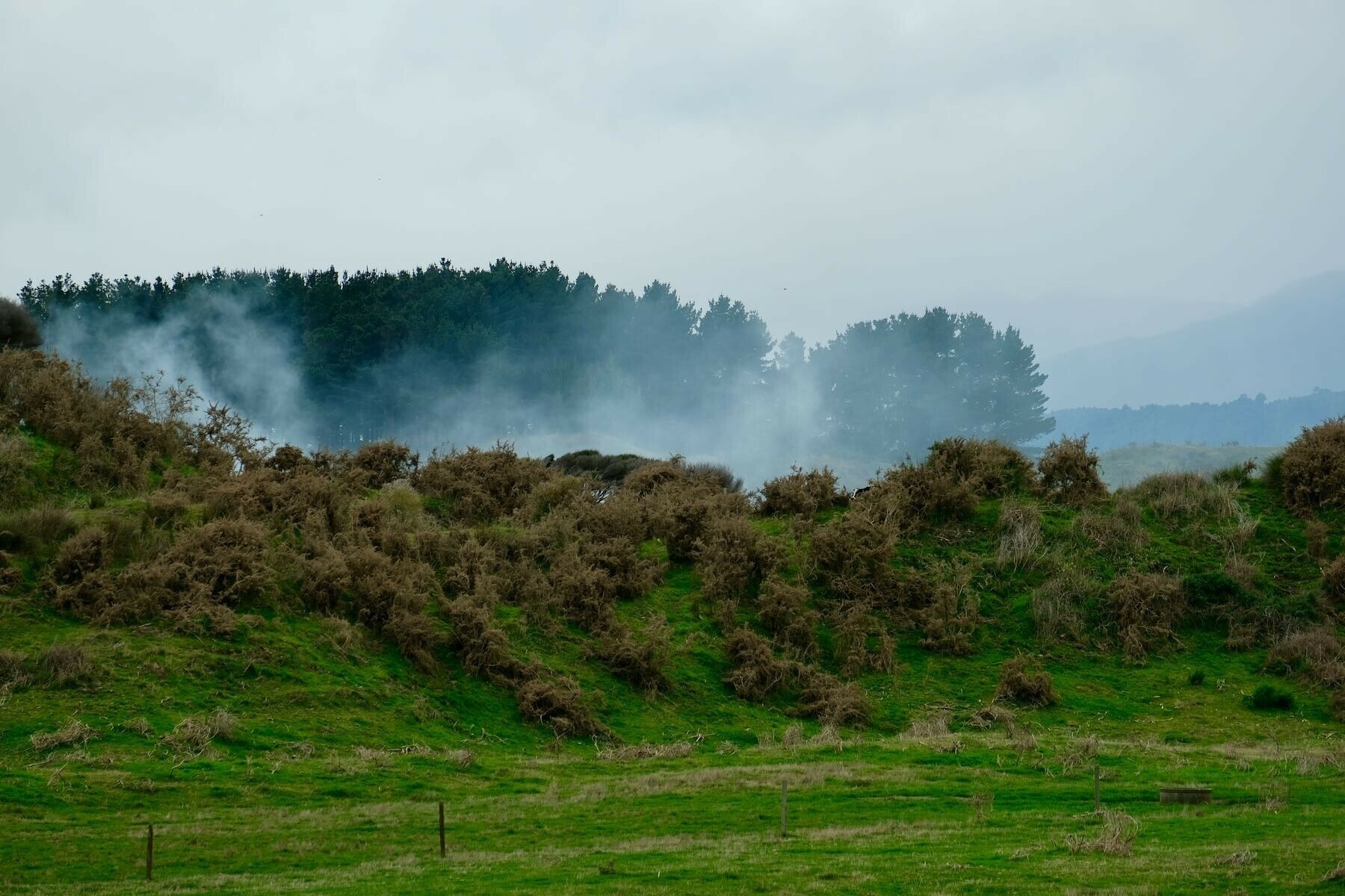 Spreading smoke from the green waste fire. 