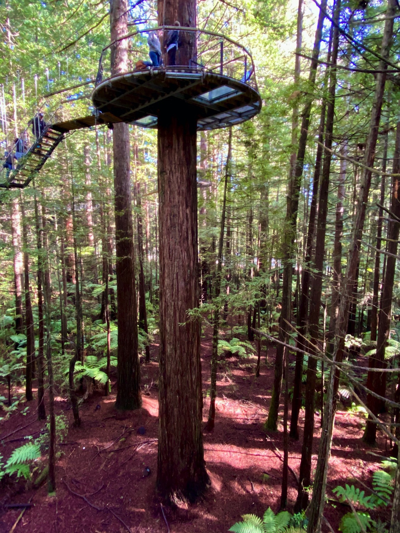 The highest platform, with glass panels to view the ground below. 