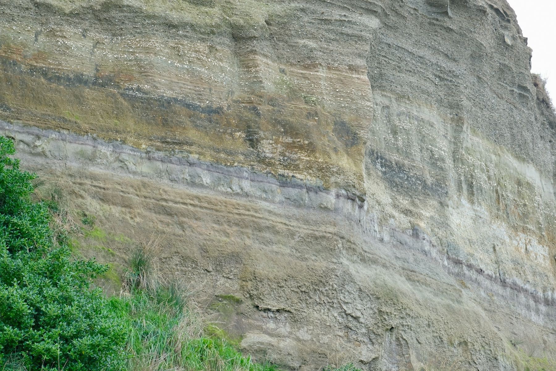 Cliff face with layers in the rock. 