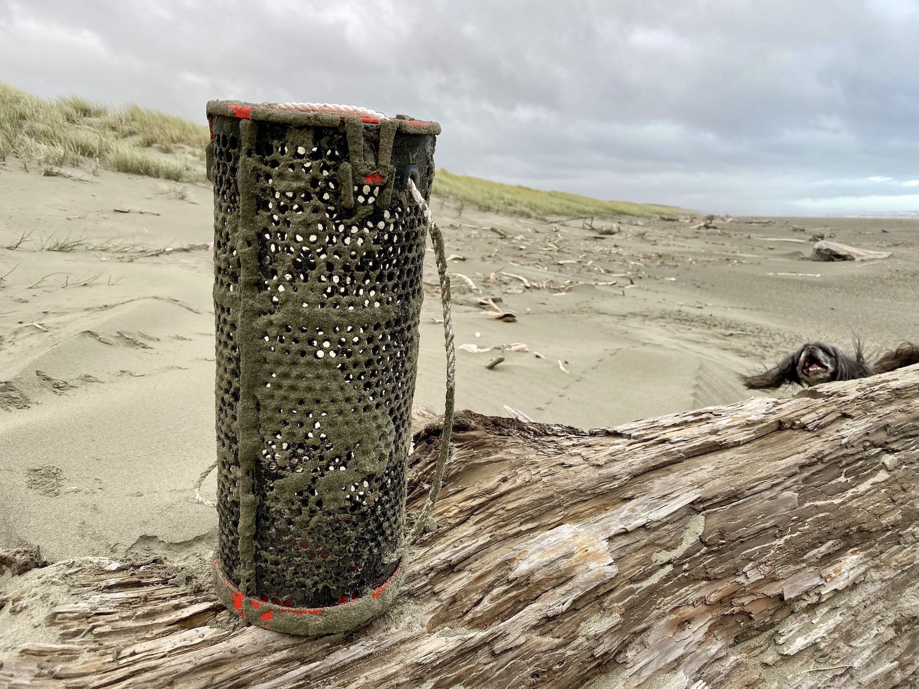 Some kind of plastic tube basket with both ends closed. 