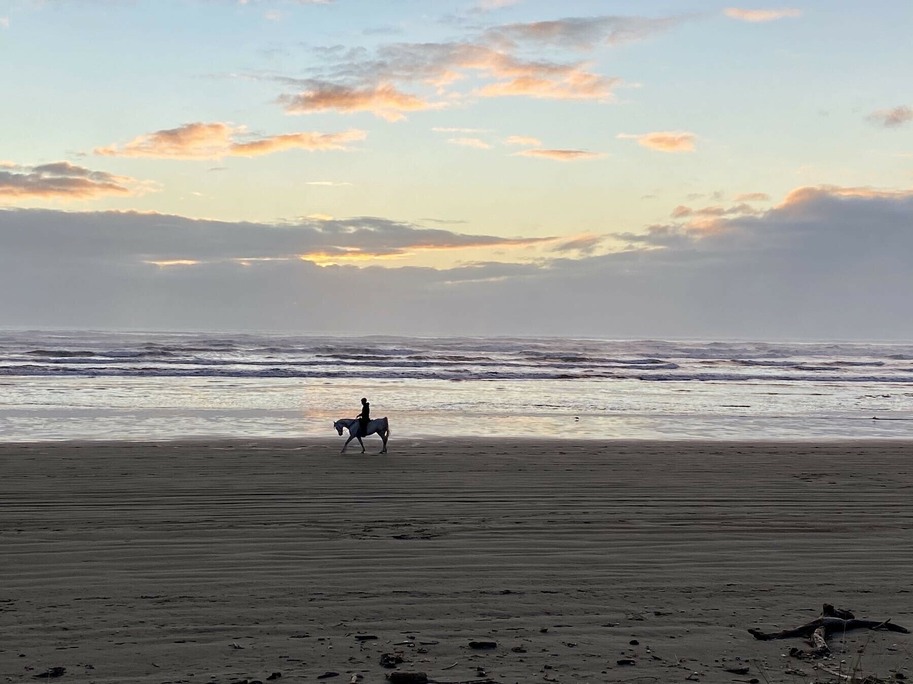 Horse and rider at the edge of the sea, with setting sun reflections on the water. 