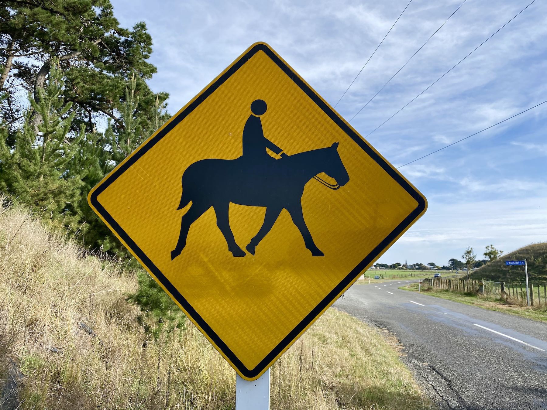 Traffic sign with yellow background warning of horses and riders ahead. 