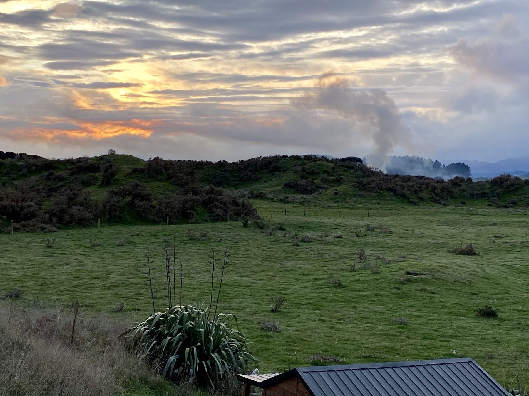 Profuse smoke from a green waste fire. 