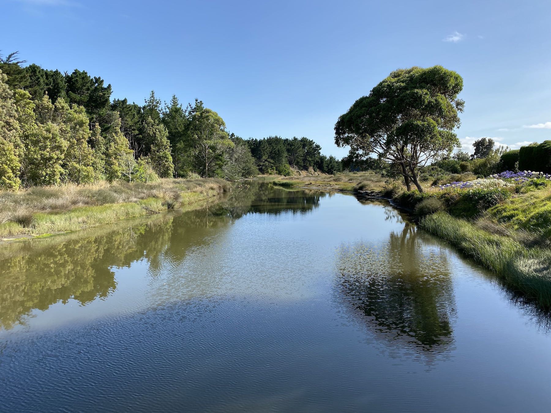 Waikawa River, looking east towards upstream. 