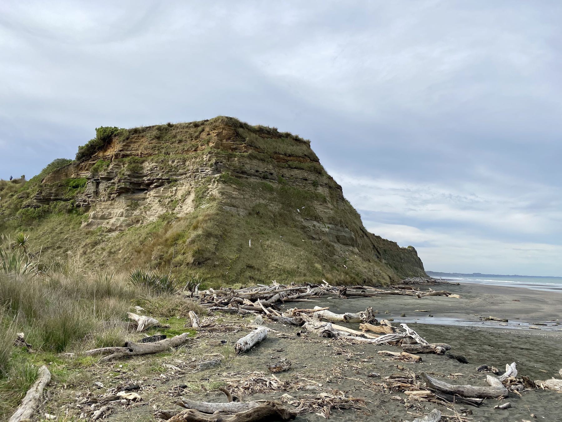 Across sand and driftwood to another hill. 