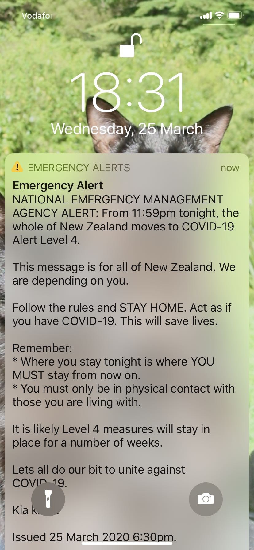 Covid 19 emergency alert. 