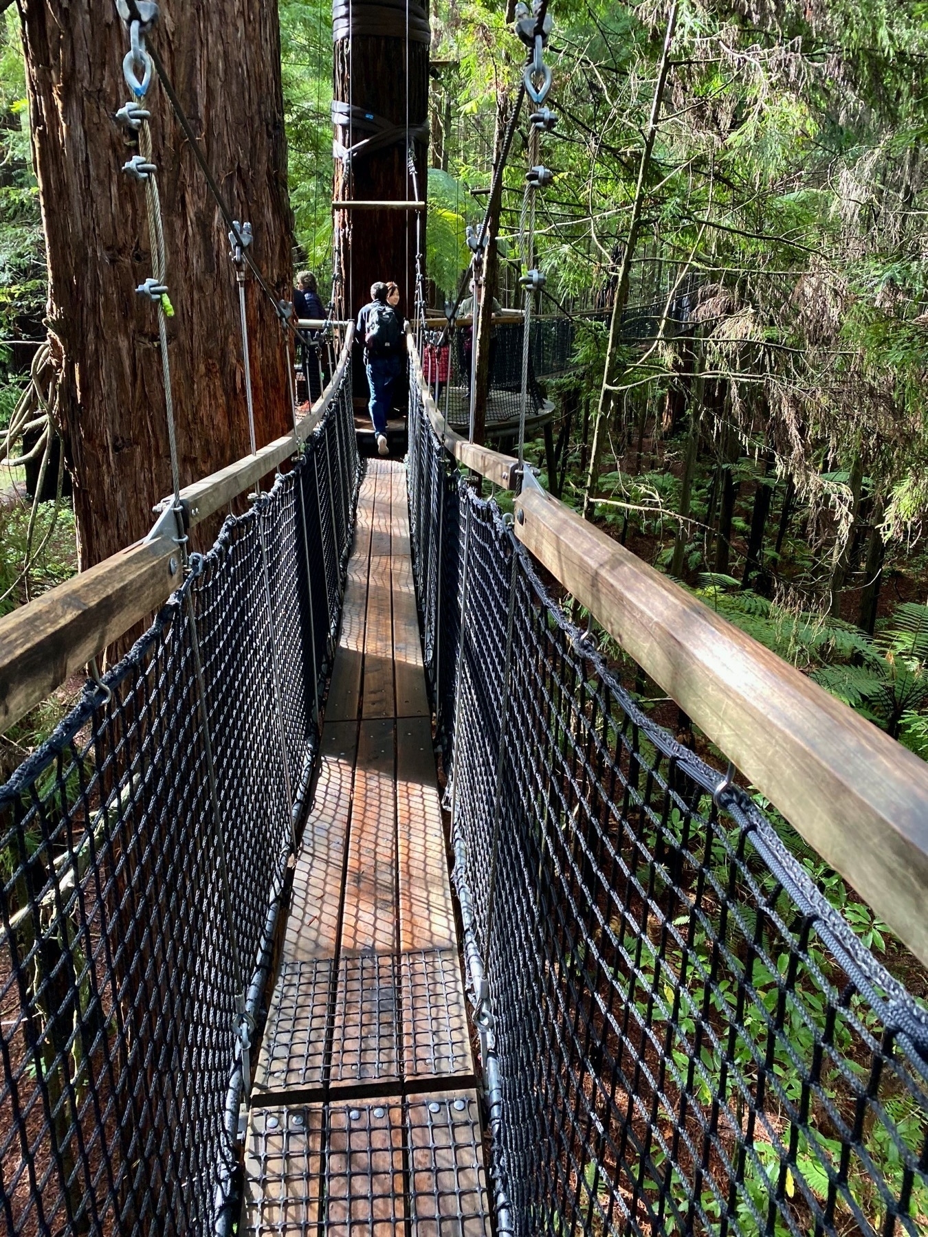 View along a swing bridge. 