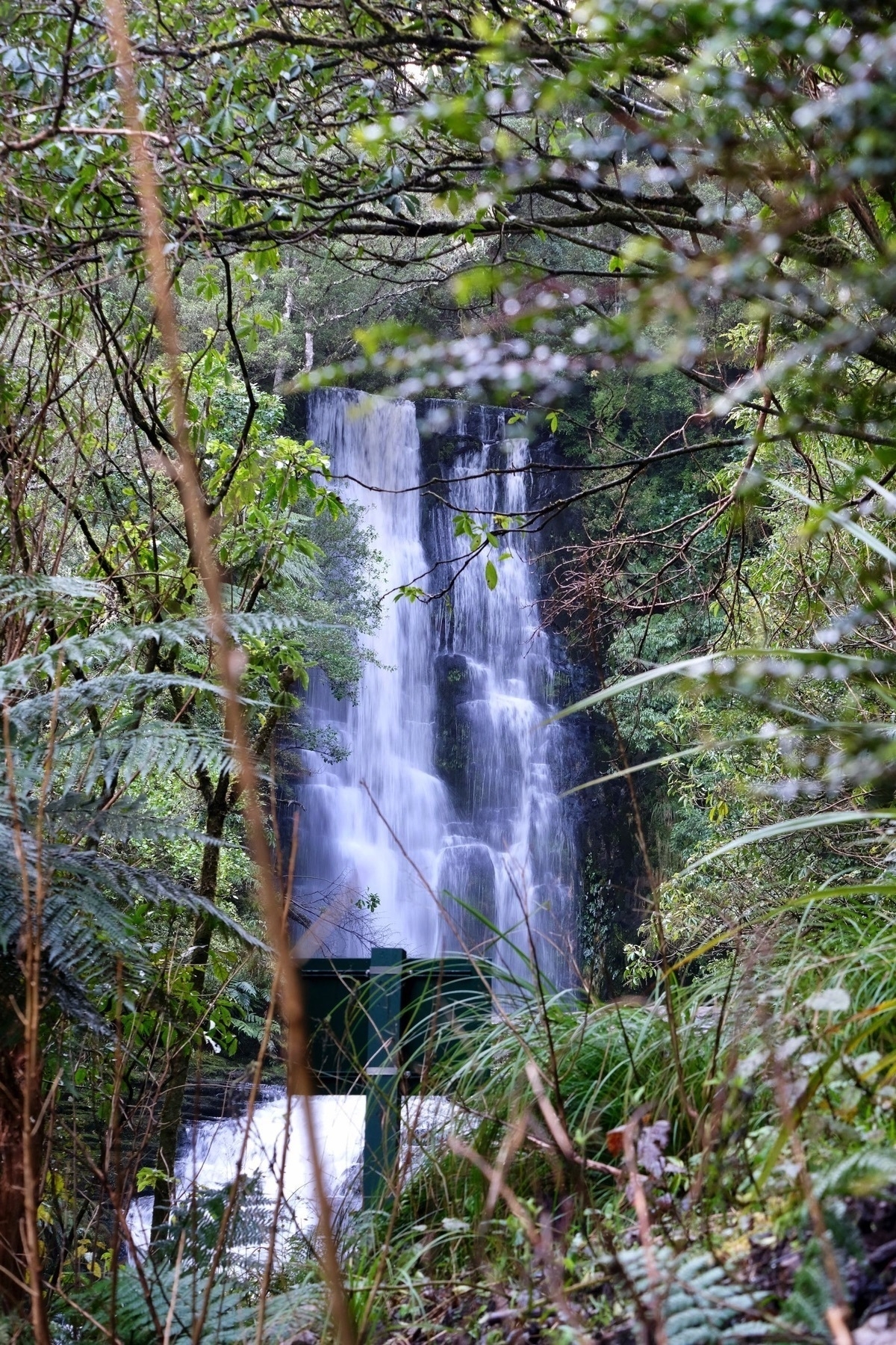 McLean Falls as seen from the track. 