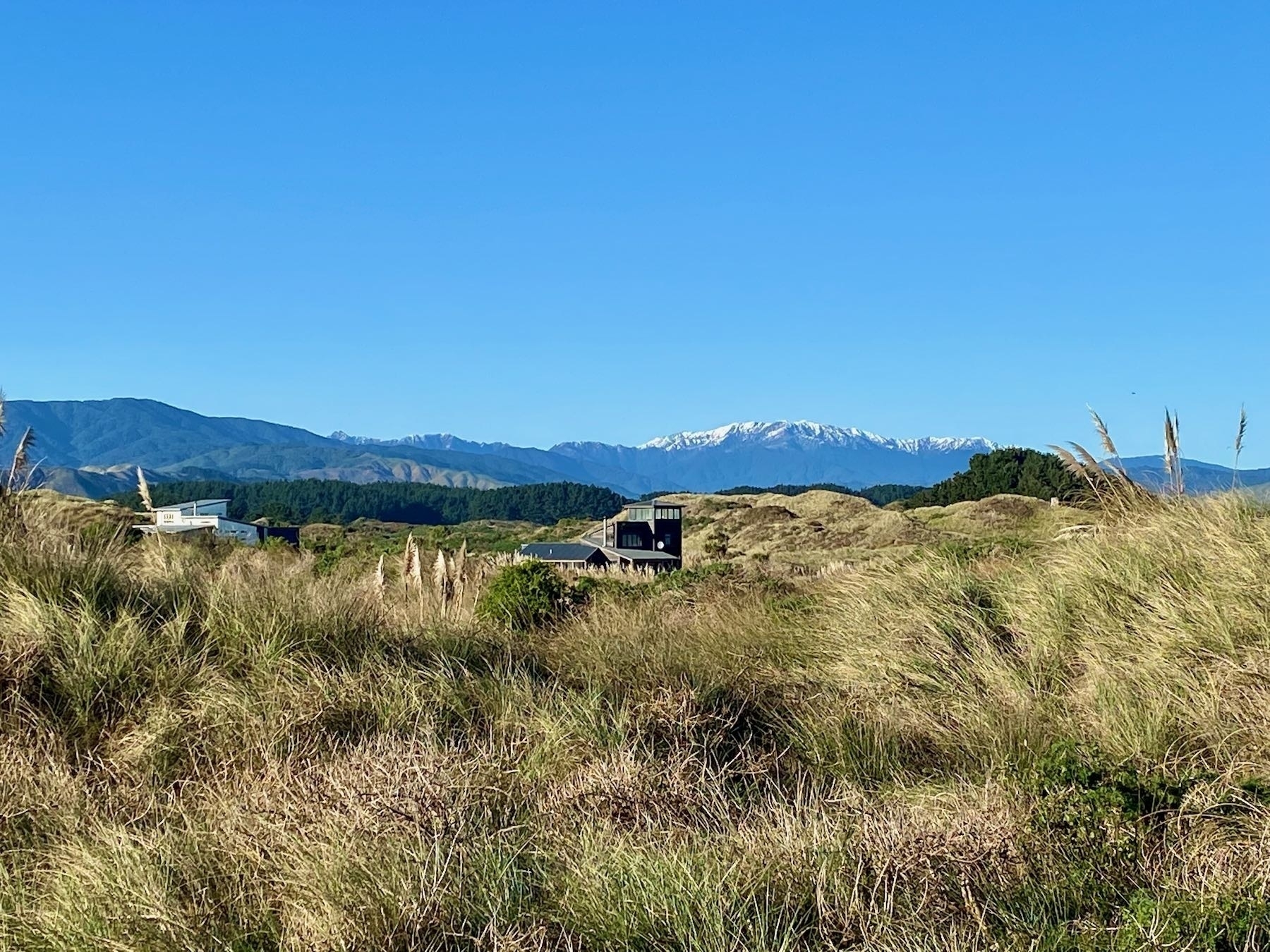 A view across dunes and paddocks to the snowy peak of a mountain. 