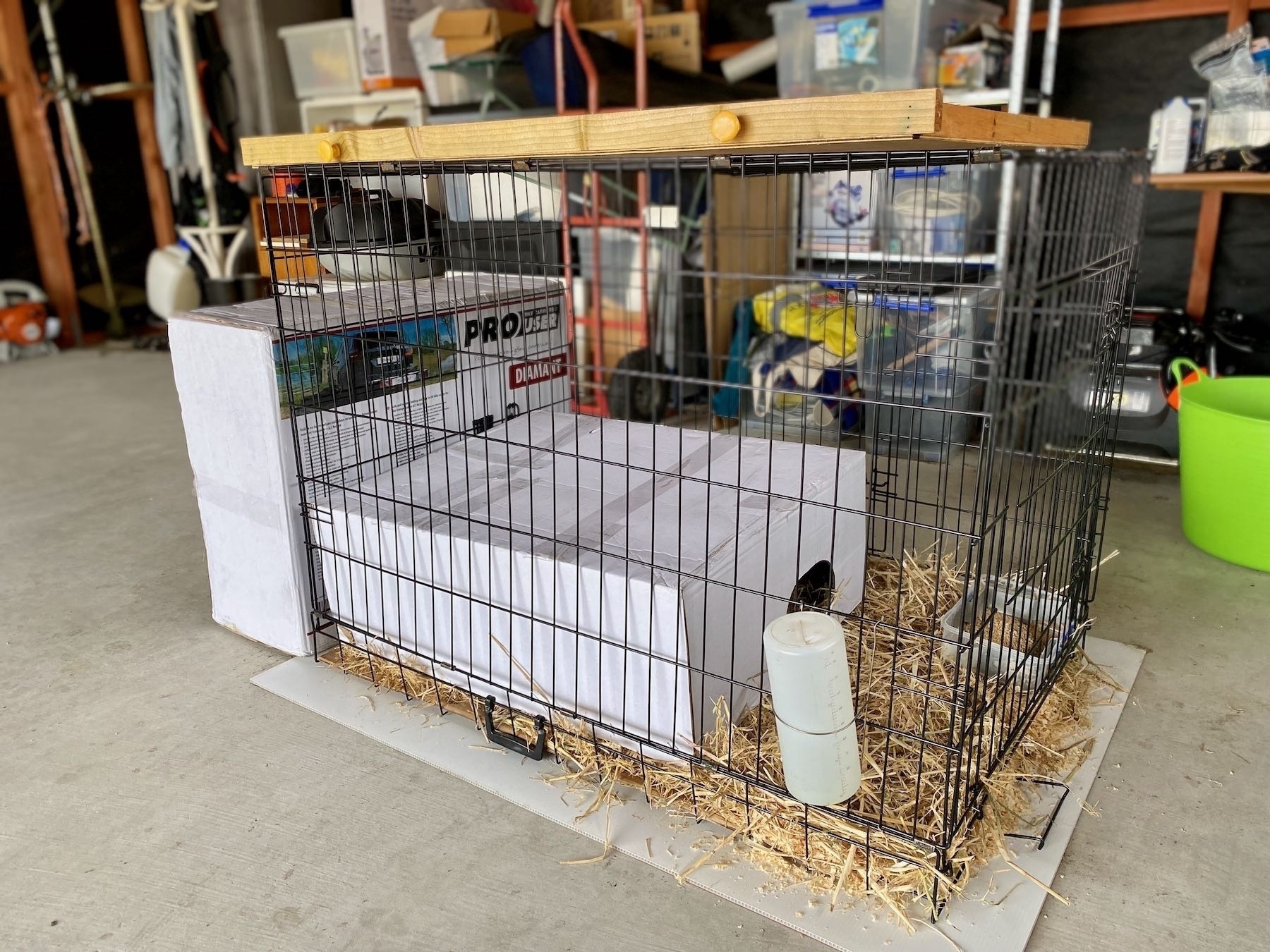 Dog crate in the garage with cardboard boxes for added shelter. 