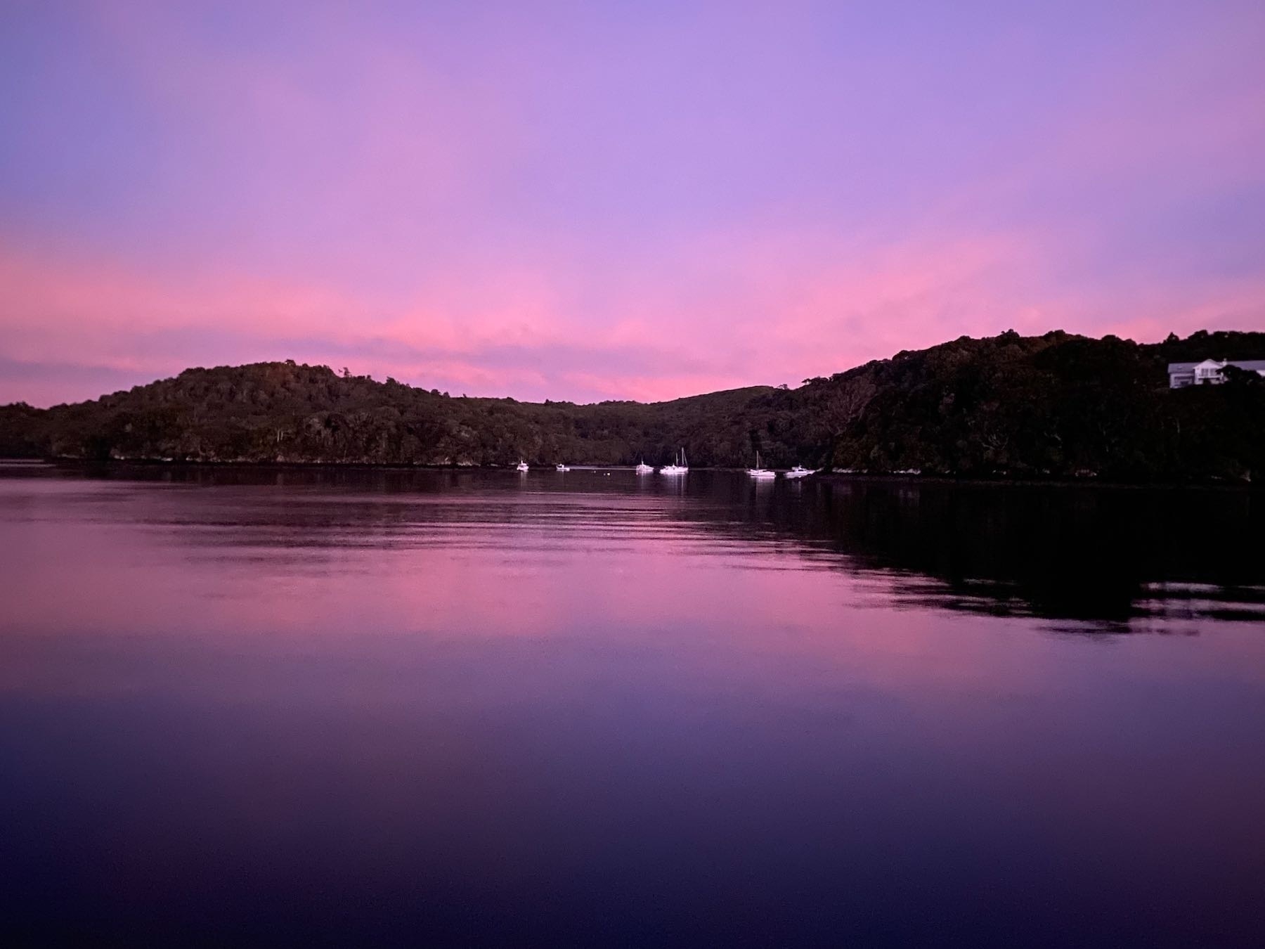 Water of a bay with boats, hills behind and a purple sunrise. 