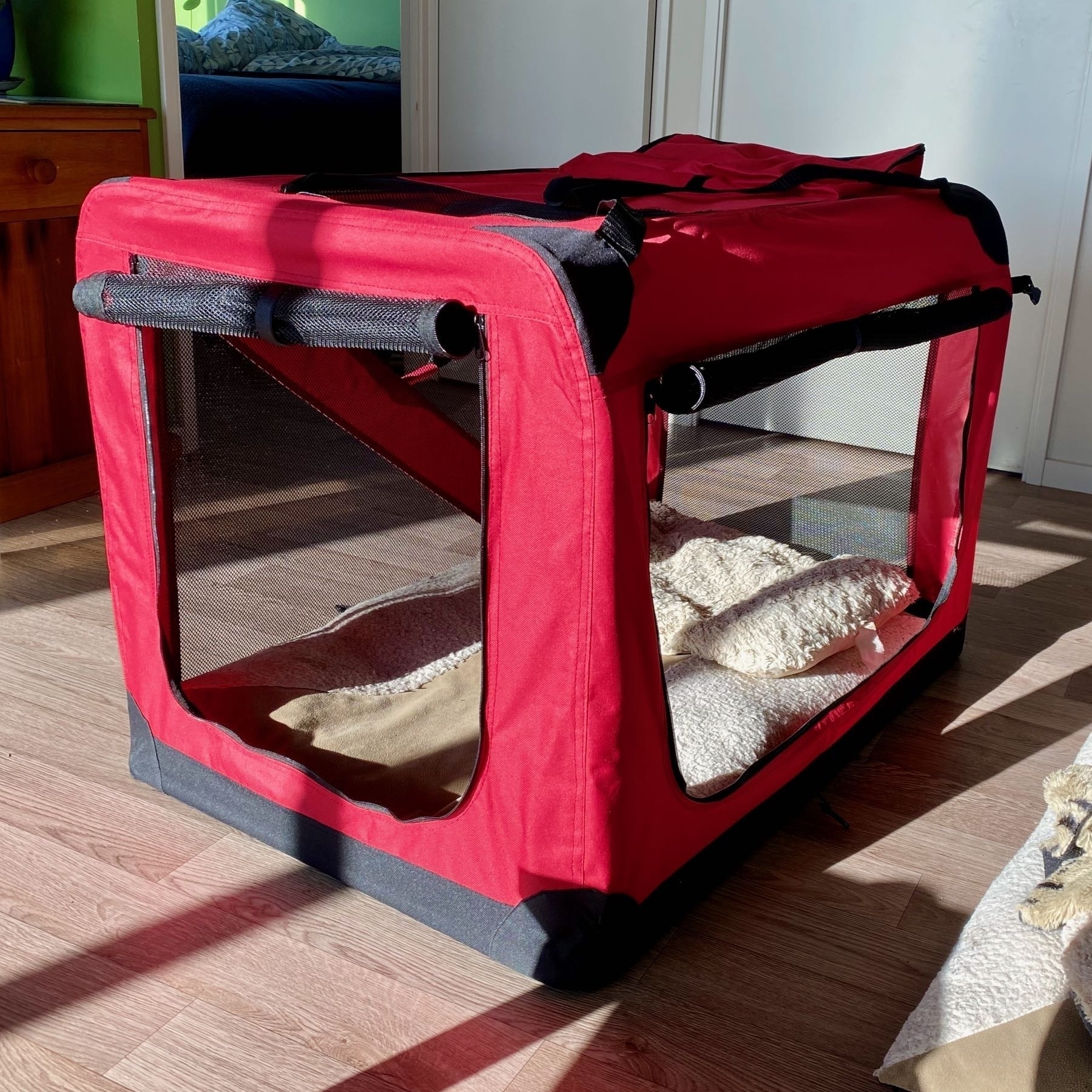 Red soft-sided dog crate. 