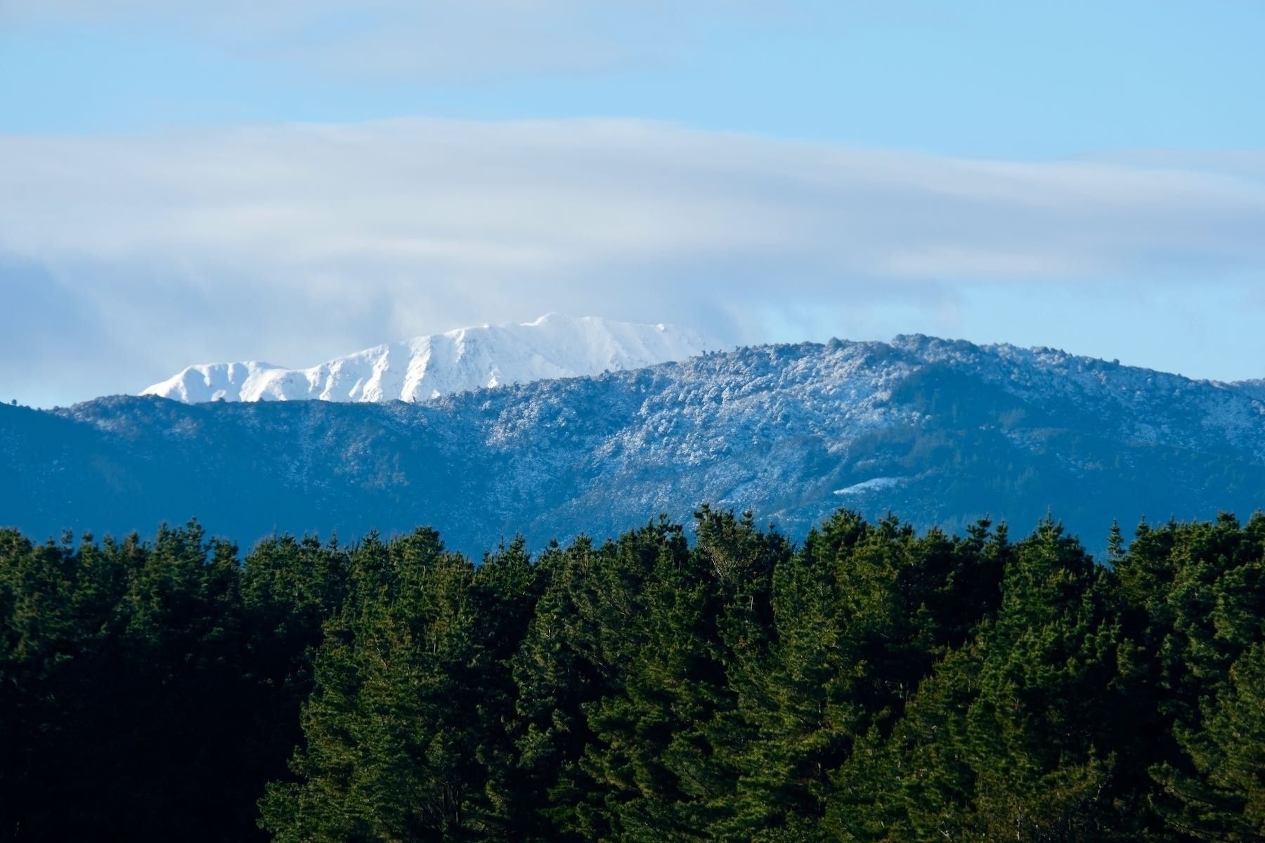 Snowy peak and foothills above trees. 