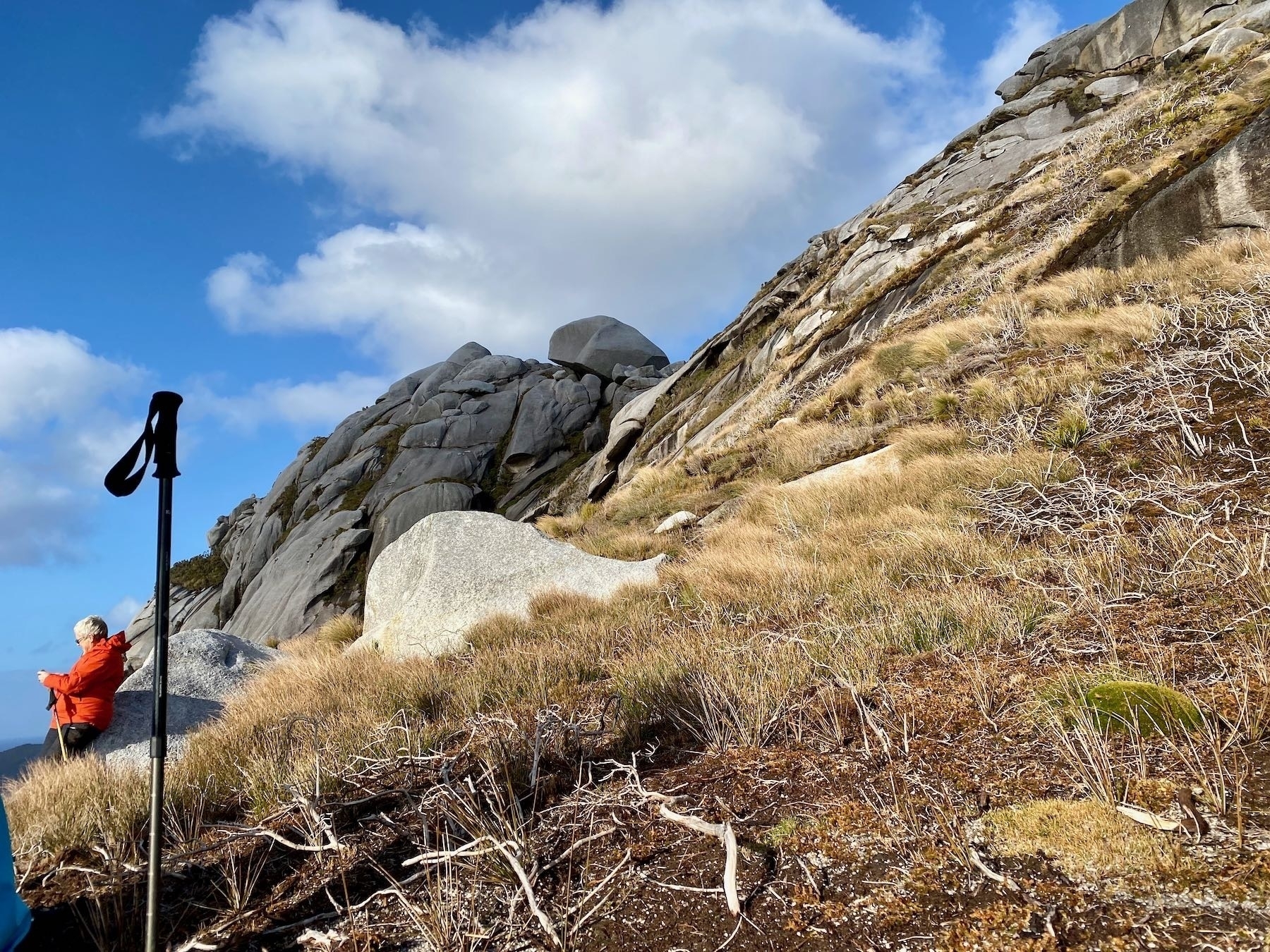 Walking pole, climber leaning against a rock. 