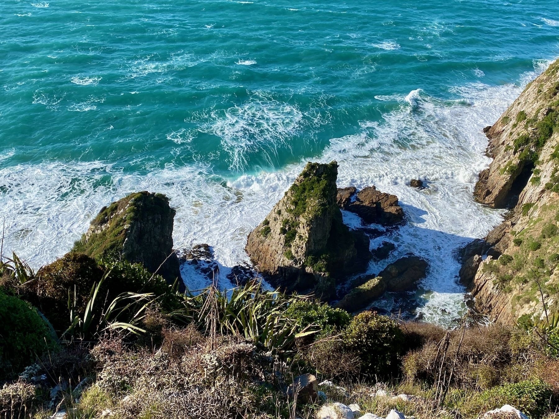 Nugget Point, Tokata, looking down the sheer cliff to the rocky coastline. 