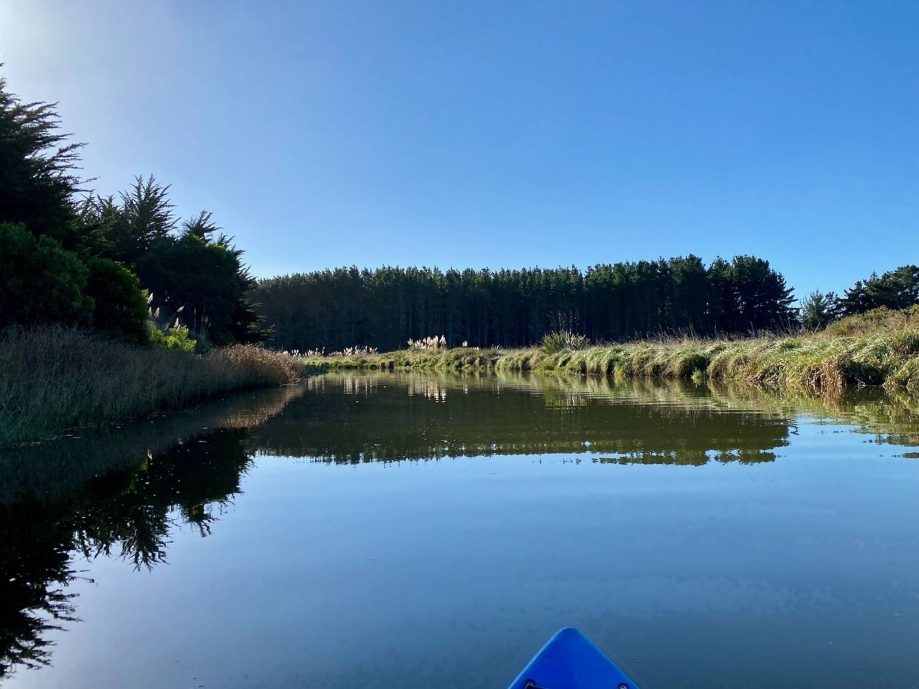 River and trees, with blue sky. 