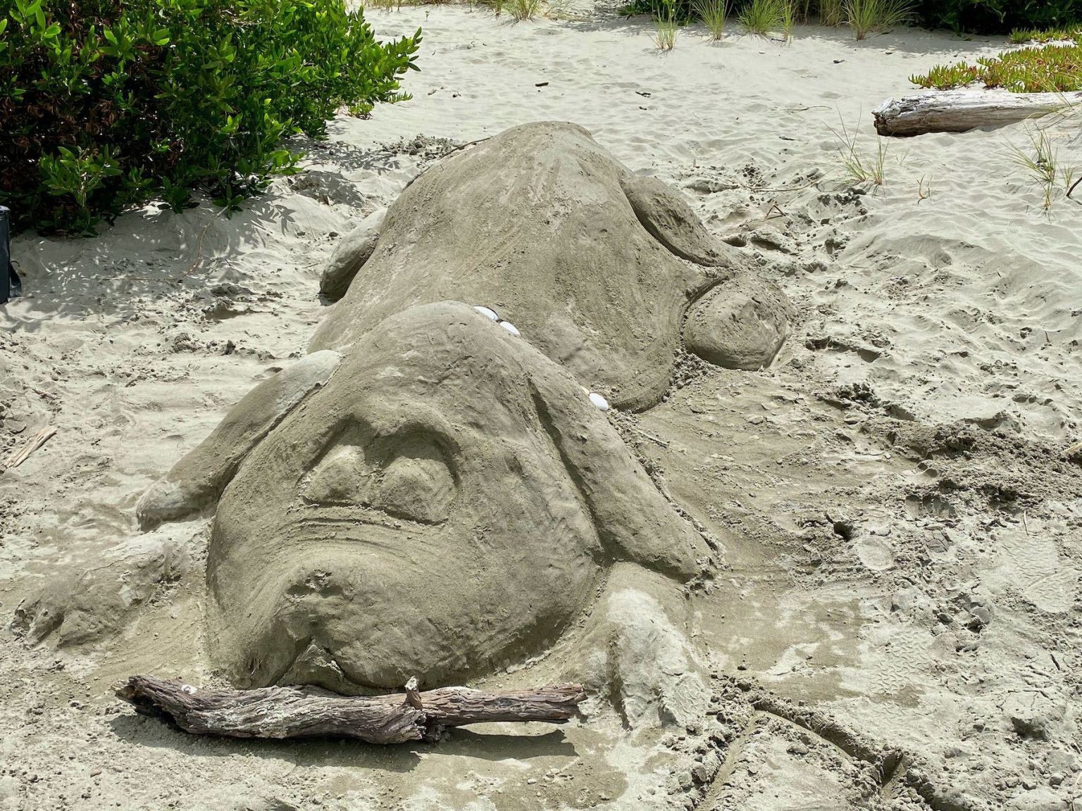 Dog with a bone, made of sand. 