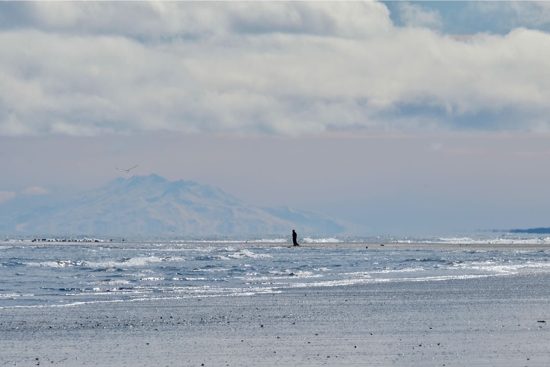 View across shallow sea to a person on the beach with a mountain in the distance and a bird flying nearby. 