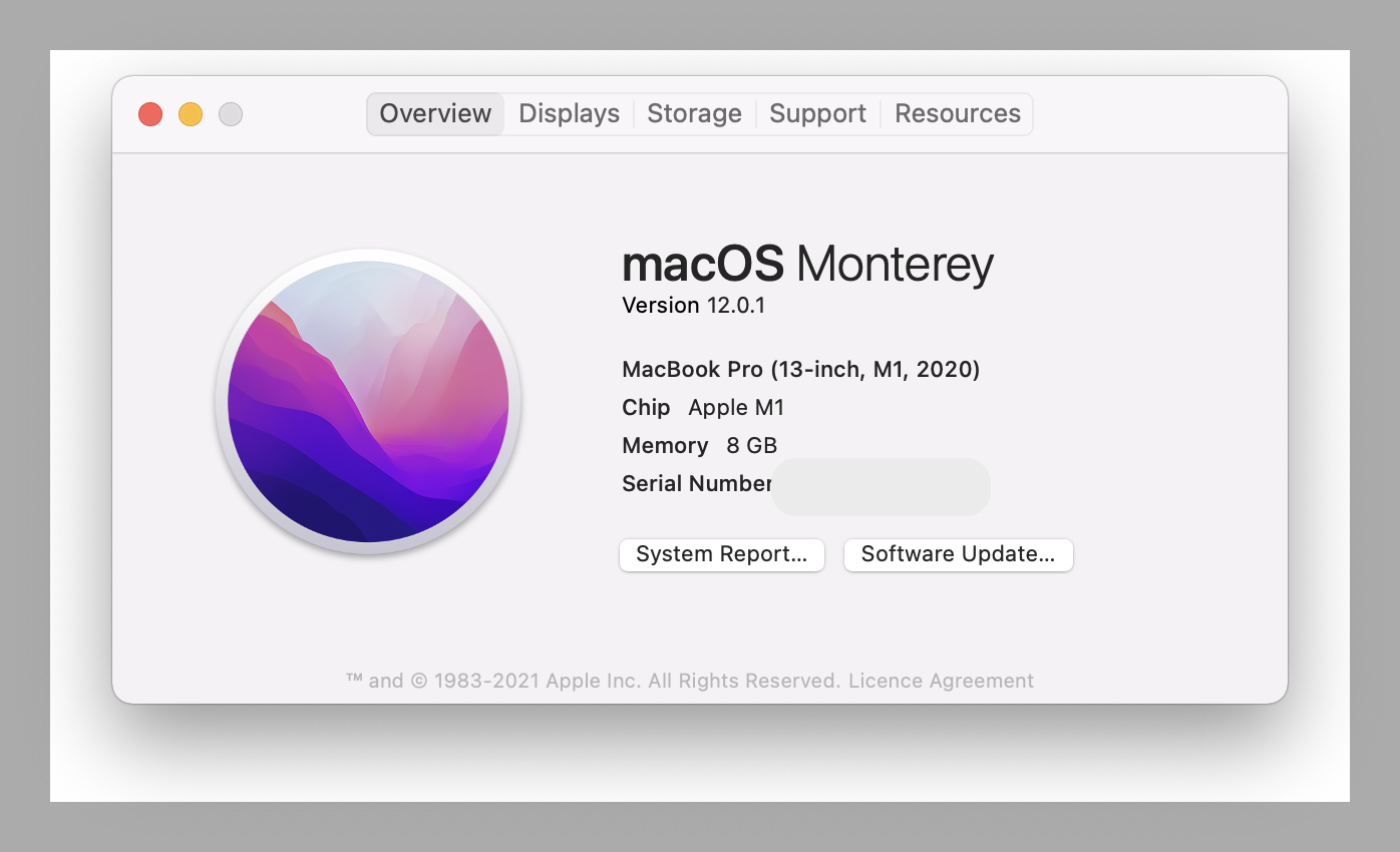 macOS Monterey info window screenshot. 