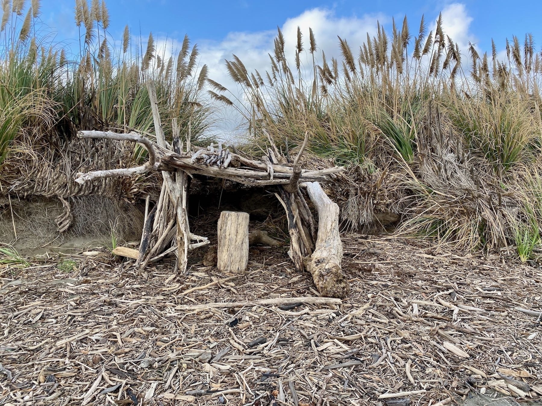 Shelter made of pieces of driftwood. 
