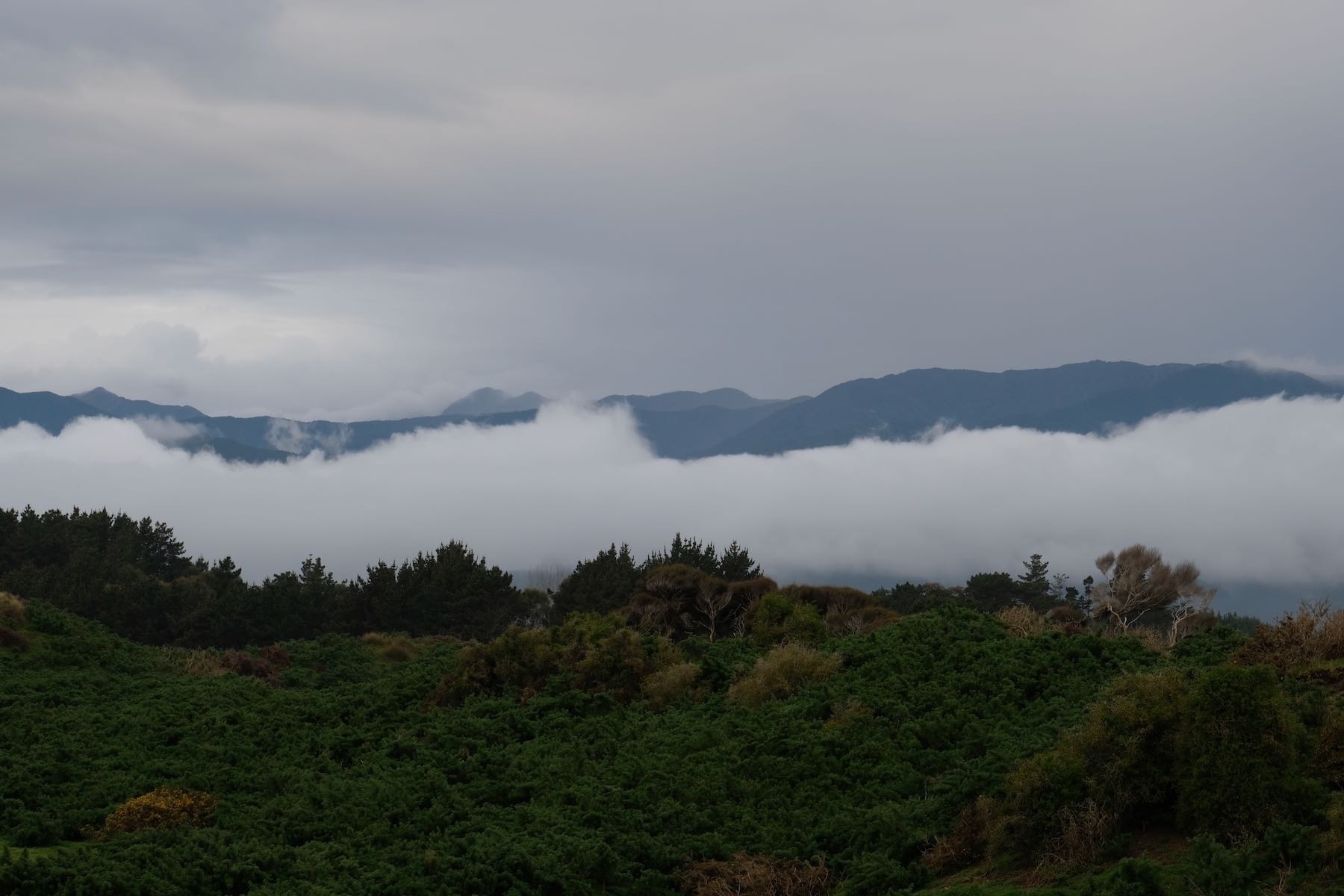 Low cloud in the valleys of the Tararuas. 