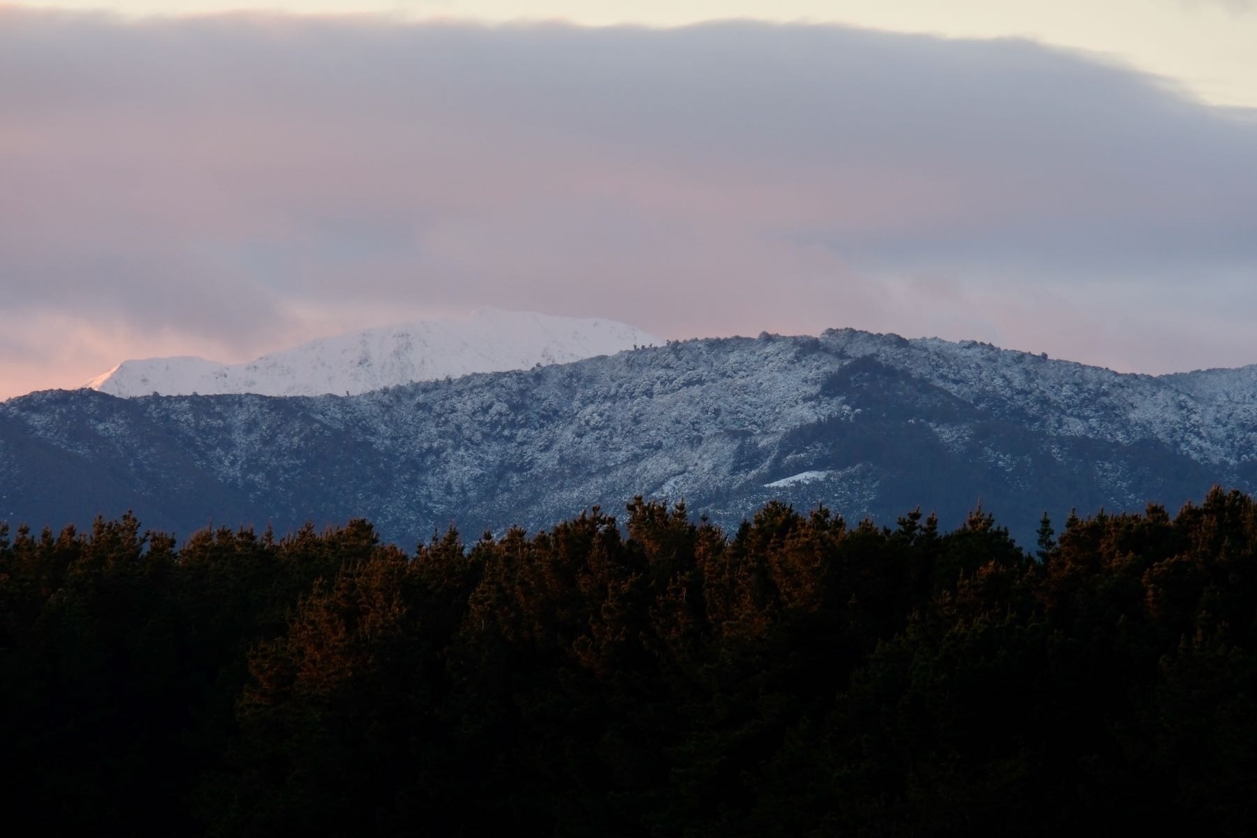 Snow clad peak and sprinkled, tree-clad foothills. 