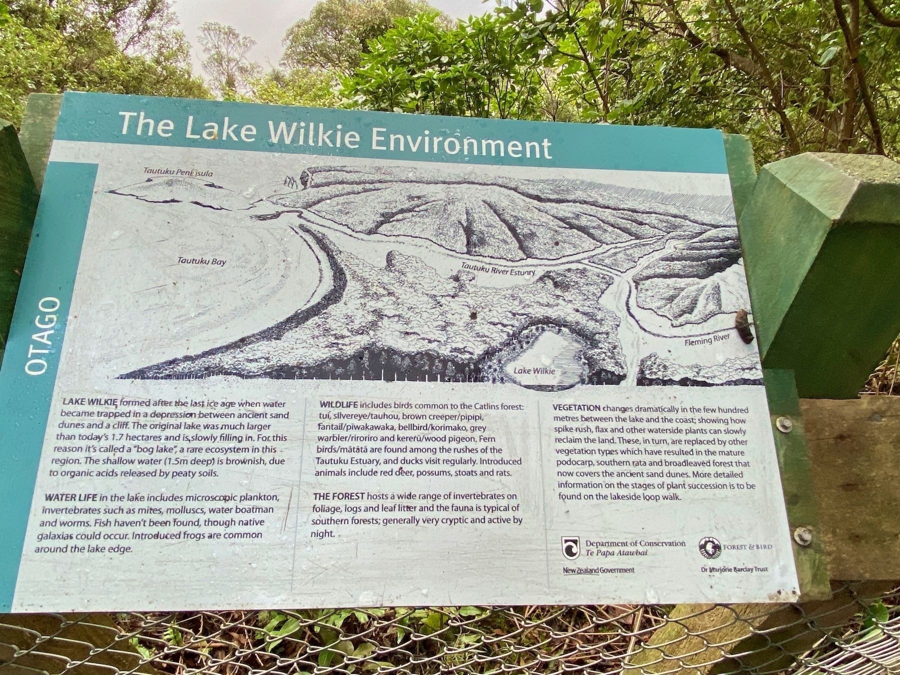 Lake Wilkie info board. 