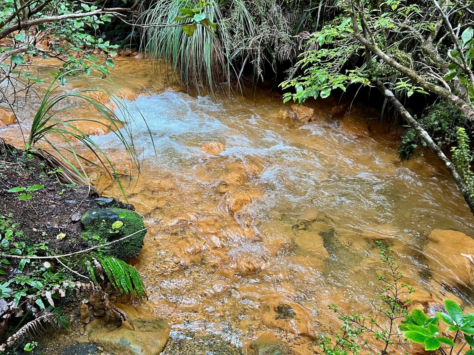 Stream flowing over yellowed rocks. 